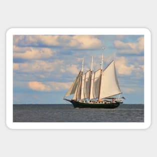 Alliance sets sail Sticker